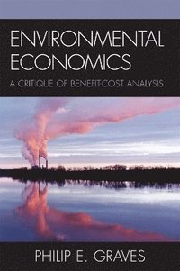 bokomslag Environmental Economics