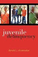 bokomslag Juvenile Delinquency