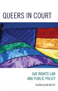 bokomslag Queers in Court