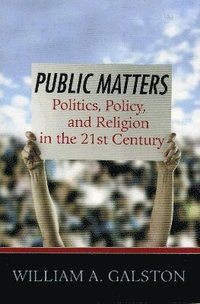 bokomslag Public Matters