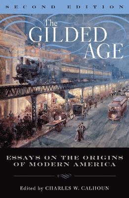 bokomslag The Gilded Age