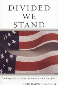 bokomslag Divided We Stand