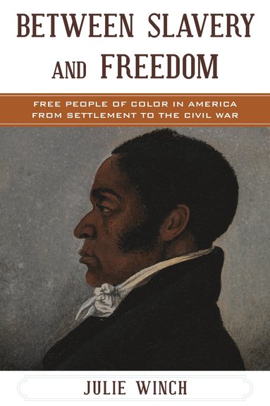 bokomslag Between Slavery and Freedom