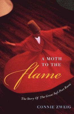 bokomslag Moth to the Flame