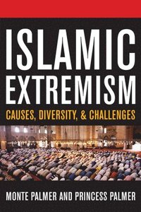 bokomslag Islamic Extremism