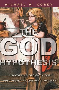 bokomslag God Hypothesis