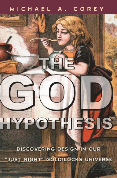 bokomslag God Hypothesis