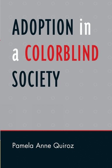 bokomslag Adoption in a Color-Blind Society
