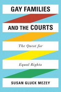 bokomslag Gay Families and the Courts