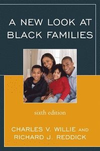 bokomslag A New Look at Black Families
