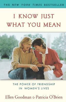 Ellen Goodman, Patricia O'Brien - I Know Just What You Mean, Häftad