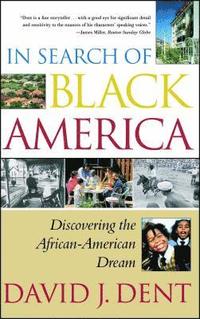 bokomslag In Search of Black America