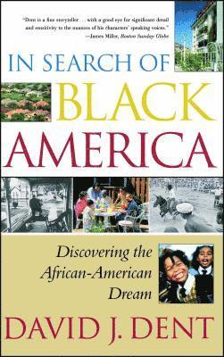 bokomslag In Search of Black America