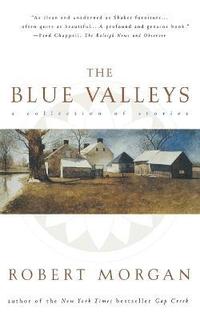bokomslag Blue Valley