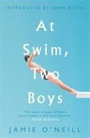bokomslag At Swim, Two Boys