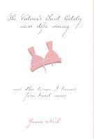 bokomslag Victoria's Secret Catalog Never Stops Coming