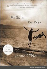 bokomslag At Swim, Two Boys