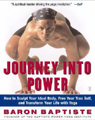 bokomslag Journey into Power