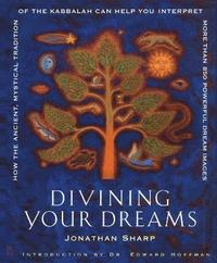 bokomslag Divining Your Dreams