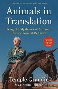 bokomslag Animals in Translation