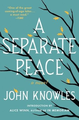 bokomslag A Separate Peace