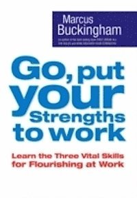 bokomslag Go, put your strengths to work