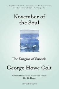 bokomslag November of the Soul
