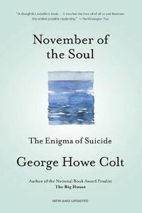 bokomslag November of the Soul: The Enigma of Suicide