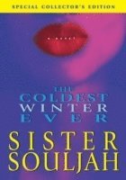 The Coldest Winter Ever 1