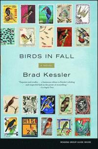 bokomslag Birds in Fall