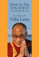 His Holiness the Dalai Lama, Jeffrey Hopkins - How to See Yourself as You Really Are, Häftad