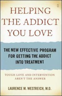 bokomslag Helping the Addict You Love