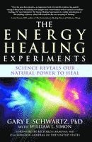 bokomslag Energy Healing Experiments