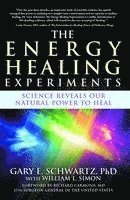 bokomslag The Energy Healing Experiments: Science Reveals Our Natural Power to Heal