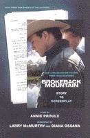 bokomslag Brokeback Mountain: Story To Screenplay