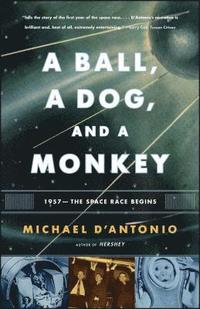 bokomslag A Ball, a Dog, and a Monkey