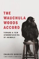 bokomslag Wauchula Woods Accord