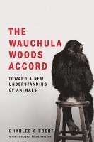 Charles Siebert - The Wauchula Woods Accord, Häftad