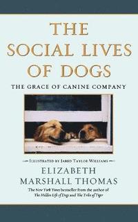 bokomslag Social Lives of Dogs