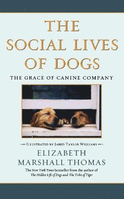 Social Lives of Dogs 1