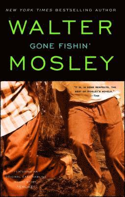Mosley, Walter Mosley - Gone Fishin', Häftad