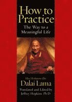 His Holiness the Dalai Lama, Jeffrey Hopkins - How to Practice: The Way to a Meaningful Life, Häftad