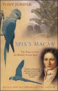 bokomslag Spix's Macaw