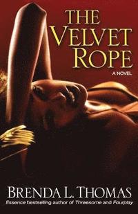 bokomslag The Velvet Rope
