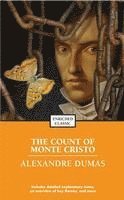 bokomslag Count Of Monte Cristo
