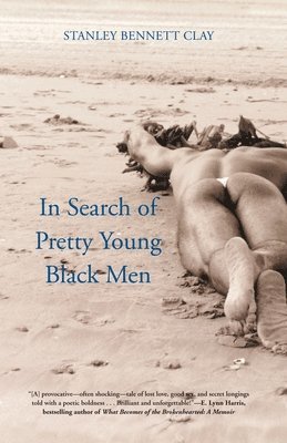 bokomslag In Search of Pretty Young Black Men