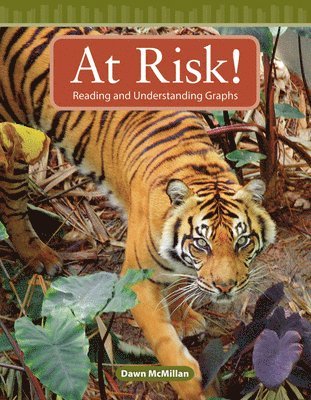 Dawn McMillan - At Risk!, Häftad