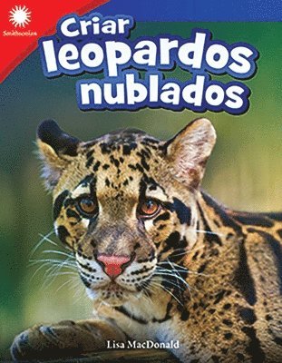 Lisa Steele MacDonald, Lisa MacDonald - Criar Leopardos Nublados, Häftad