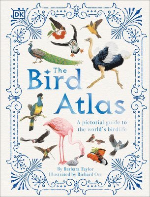 bokomslag The Bird Atlas