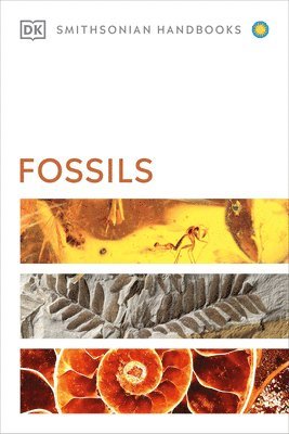 DK - Fossils, Häftad